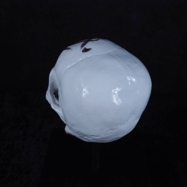 Lebka bílý porcelán se zlatou kaligrafií Bu - Image 4