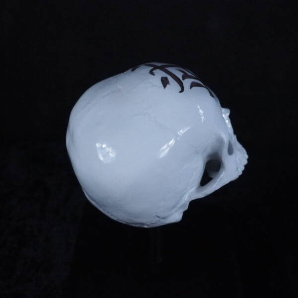 Lebka bílý porcelán se zlatou kaligrafií Bu - Image 5