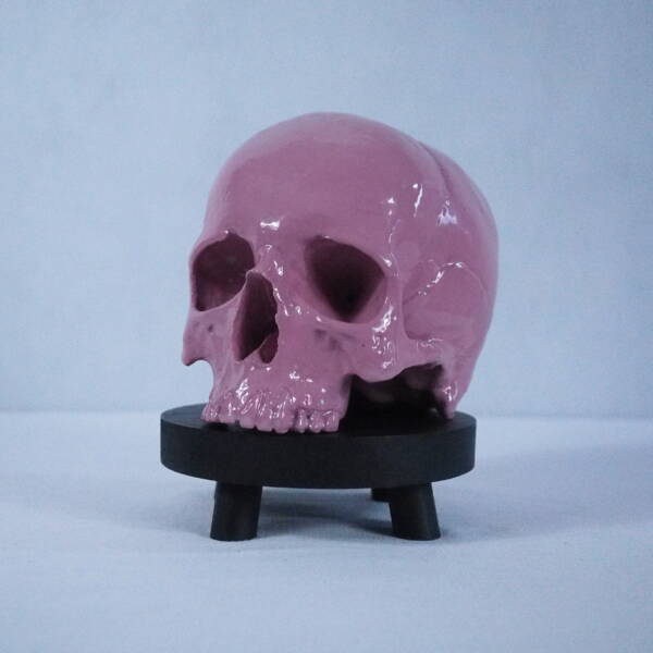 Pink Skull - Image 8