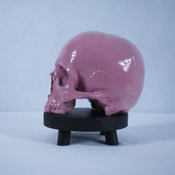 Pink Skull - Image 7