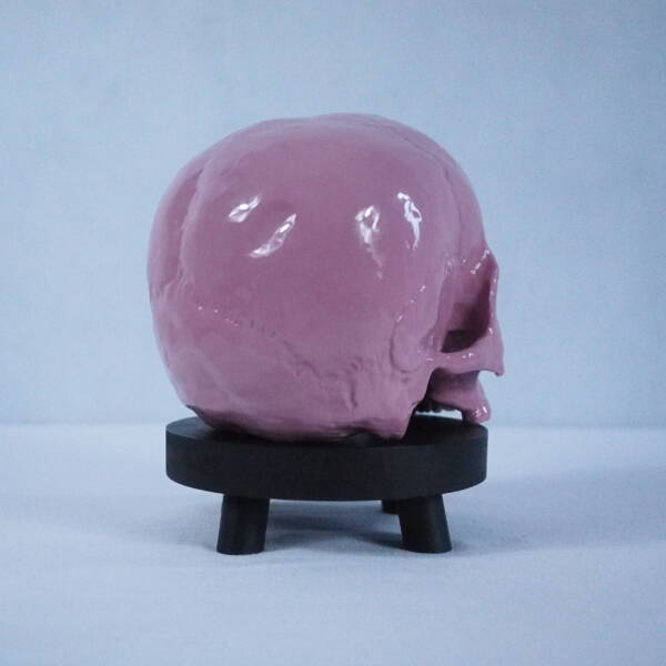 Pink Skull - Image 4
