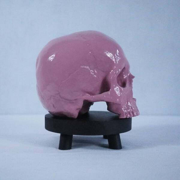 Pink Skull - Image 3