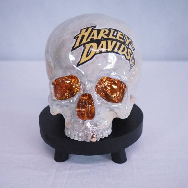 Lebka Harley Davidson - Image 2