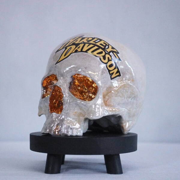 Lebka Harley Davidson - Image 3