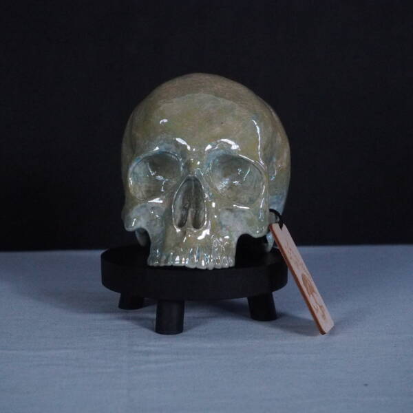  - Image 8