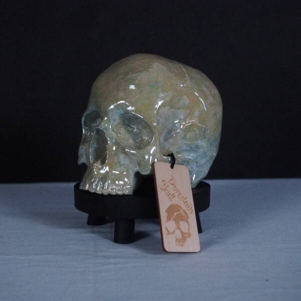  - Image 7
