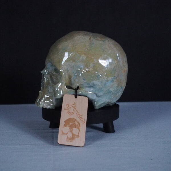  - Image 6