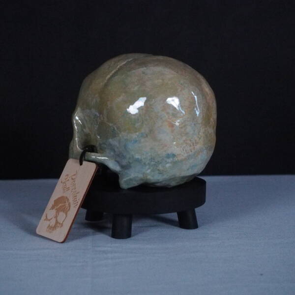  - Image 5